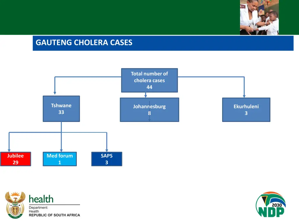 gauteng cholera cases