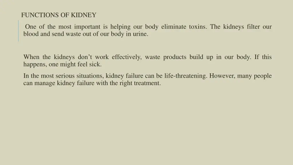 functions of kidney