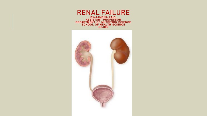 renal failure by aamena zaidi assistant professor