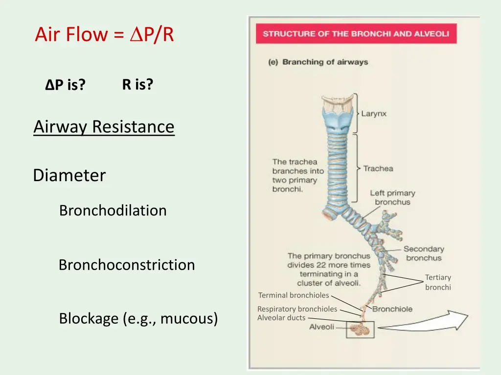 air flow p r