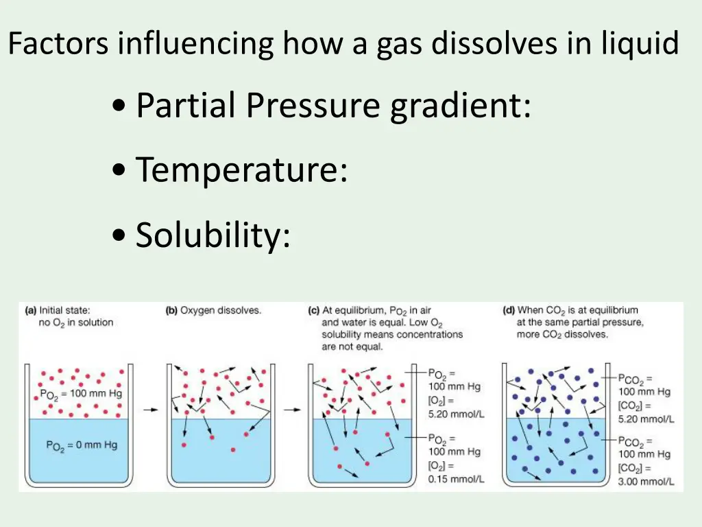 factors influencing how a gas dissolves in liquid