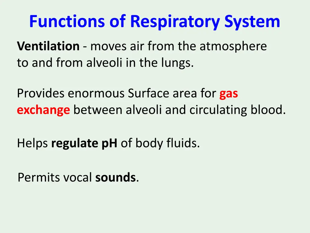 functions of respiratory system