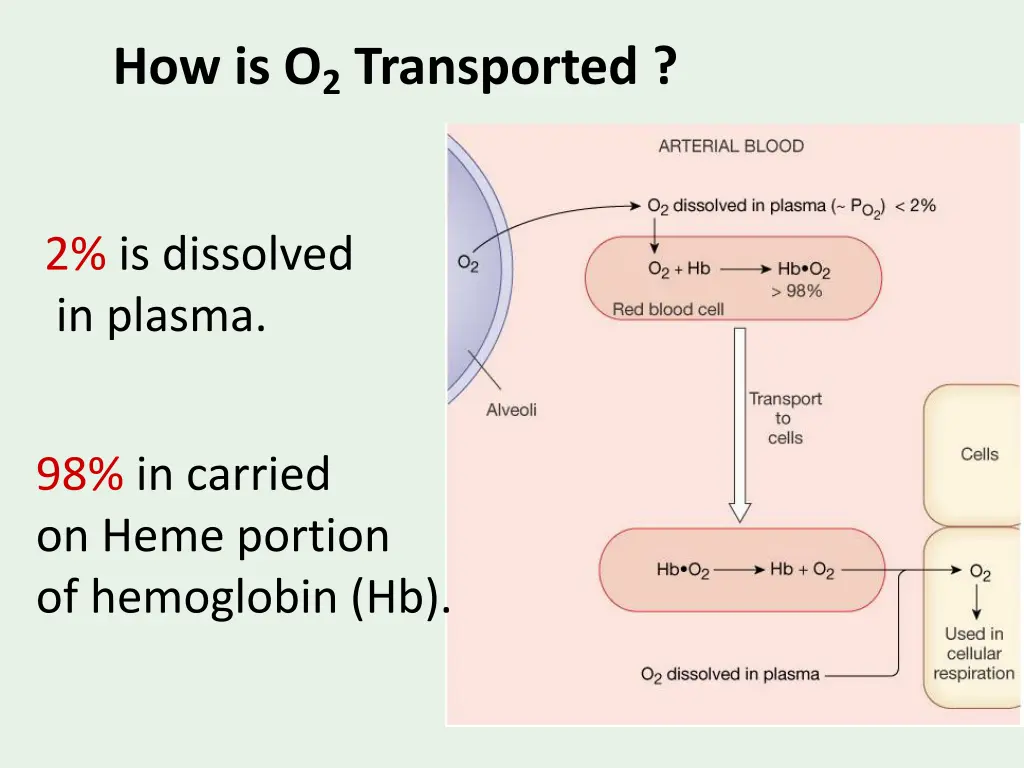 how is o 2 transported