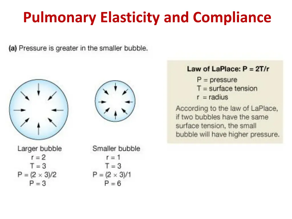 pulmonary elasticity and compliance 1