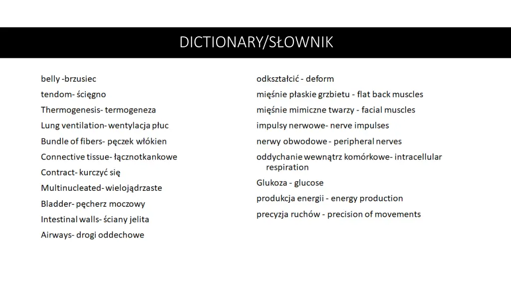 dictionary s ownik