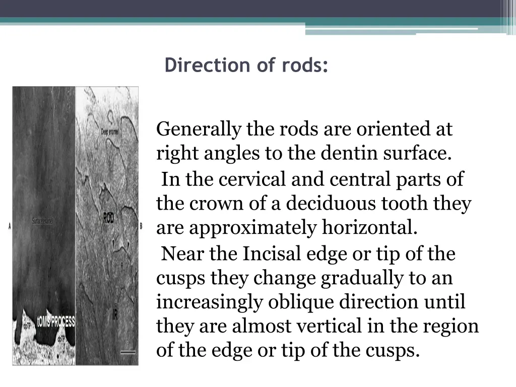 direction of rods