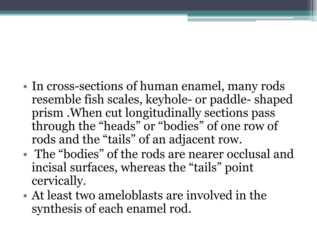 in cross sections of human enamel many rods