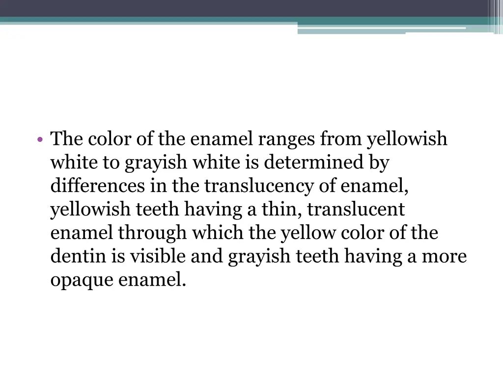 the color of the enamel ranges from yellowish