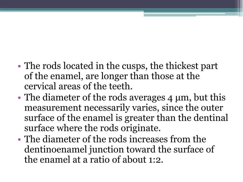 the rods located in the cusps the thickest part