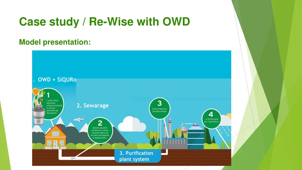 case study re wise with owd