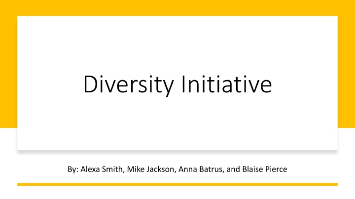 diversity initiative