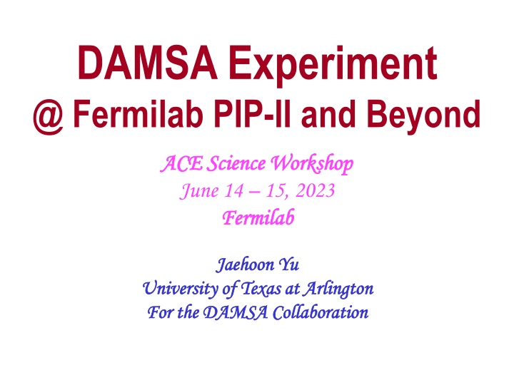 damsa experiment @ fermilab pip ii and beyond