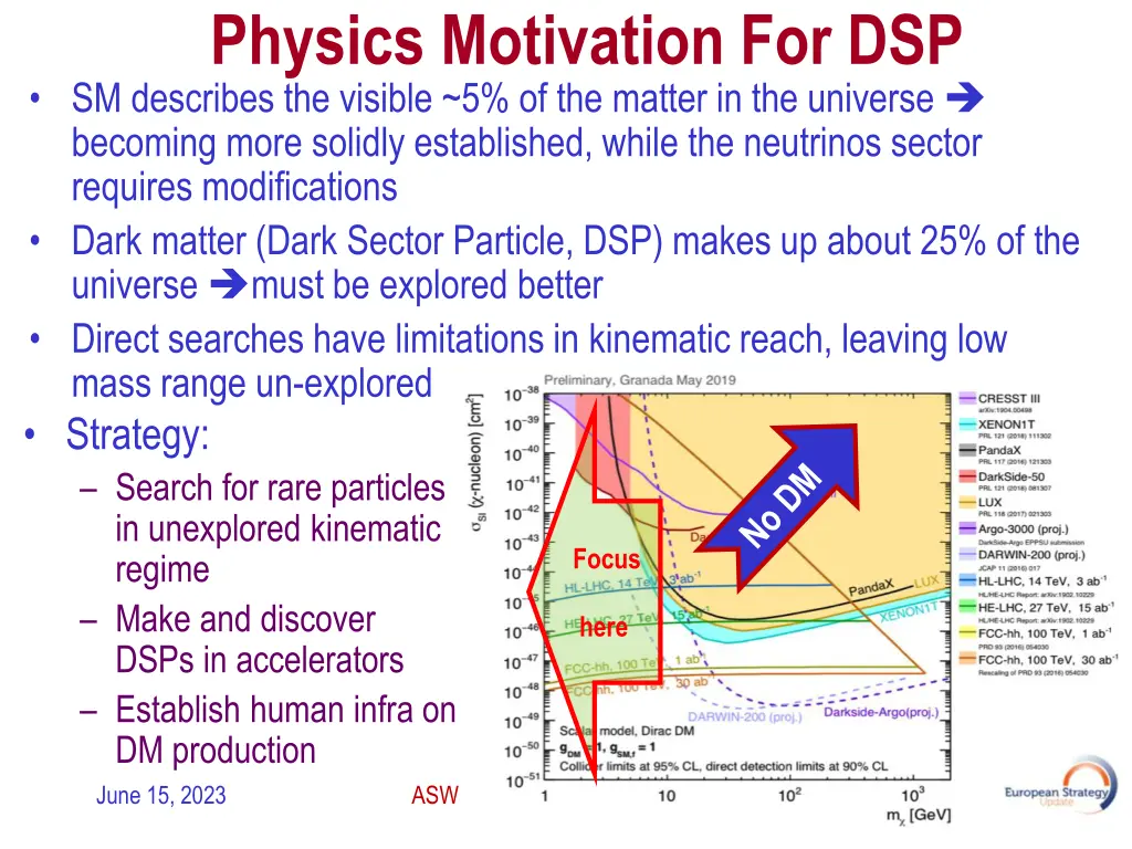 physics motivation for dsp sm describes