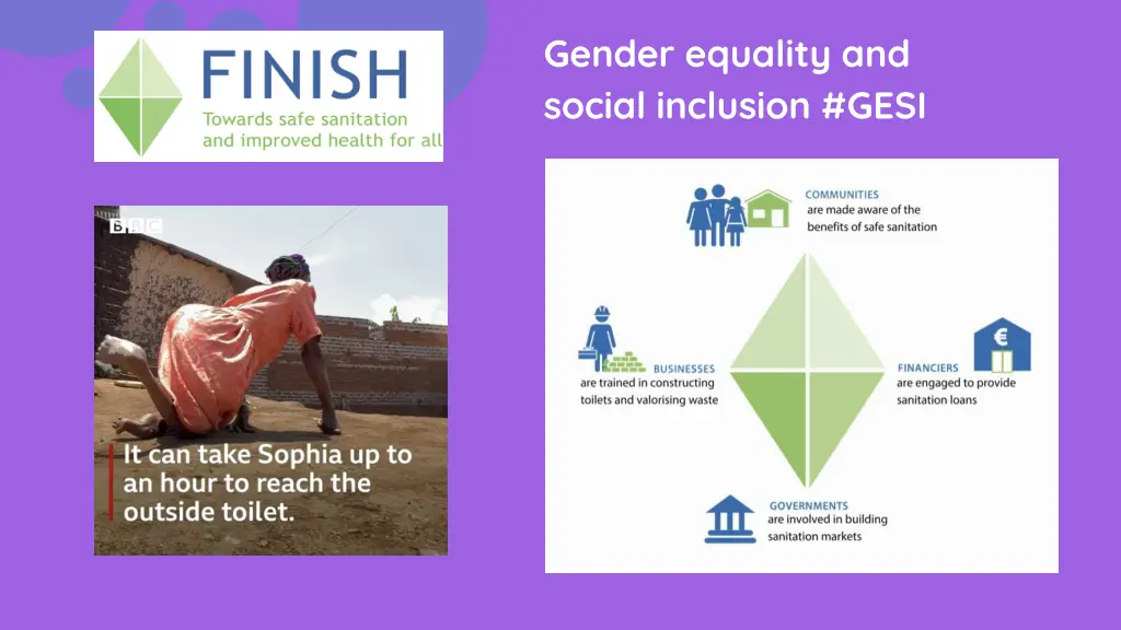 gender equality and social inclusion gesi
