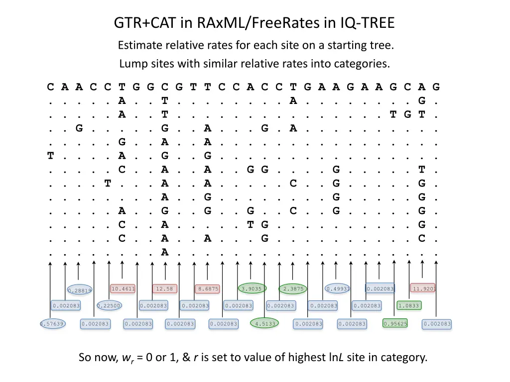 gtr cat in raxml freerates in iq tree