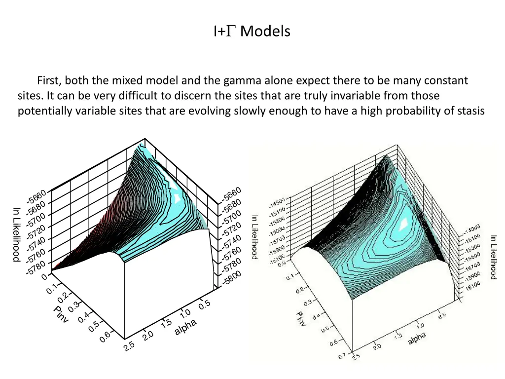 i g models 1