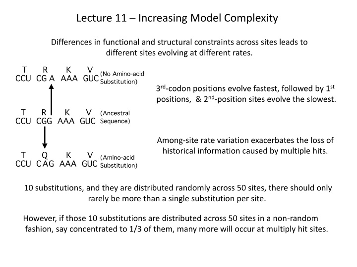 lecture 11 increasing model complexity