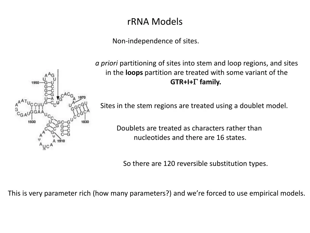 rrna models