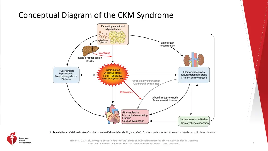 conceptual diagram of the ckm syndrome