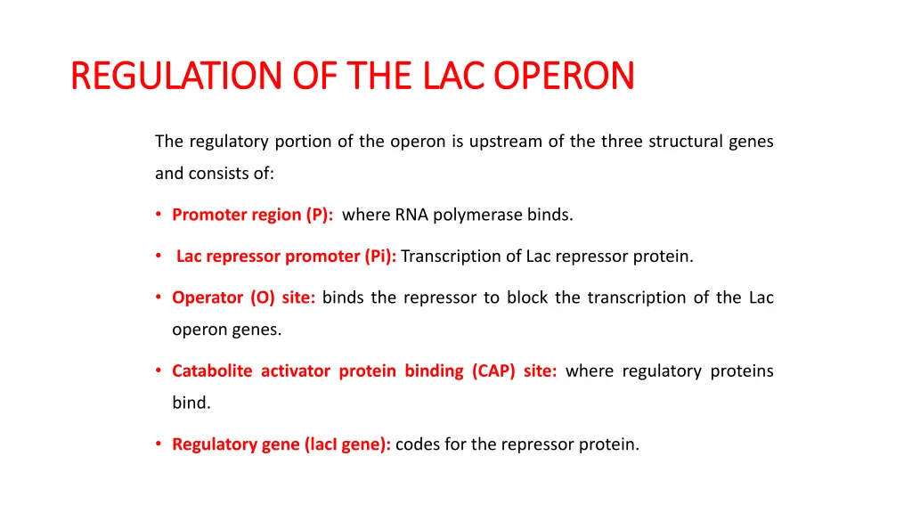 regulation of the lac operon regulation