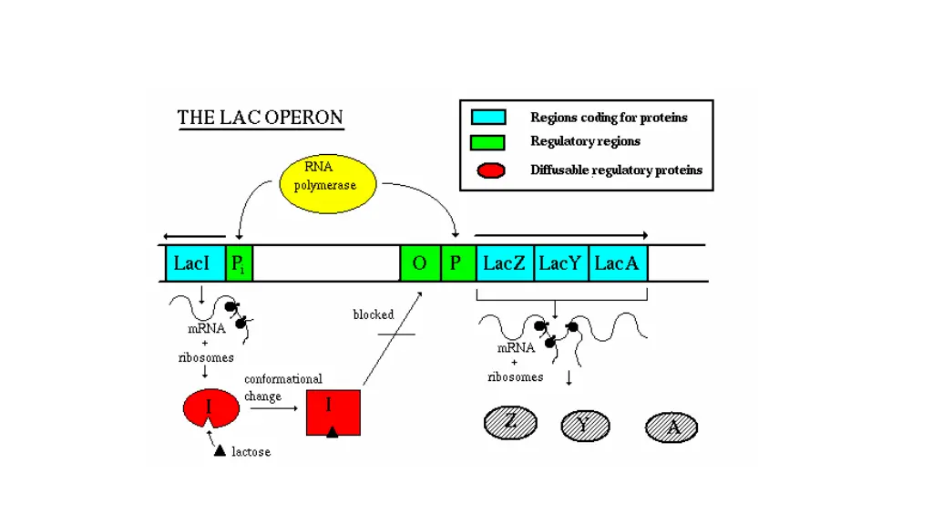 slide18