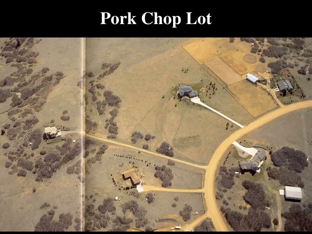 pork chop lot