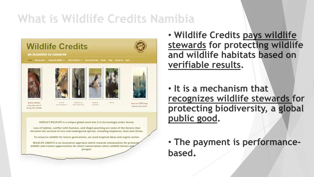 what is wildlife credits namibia