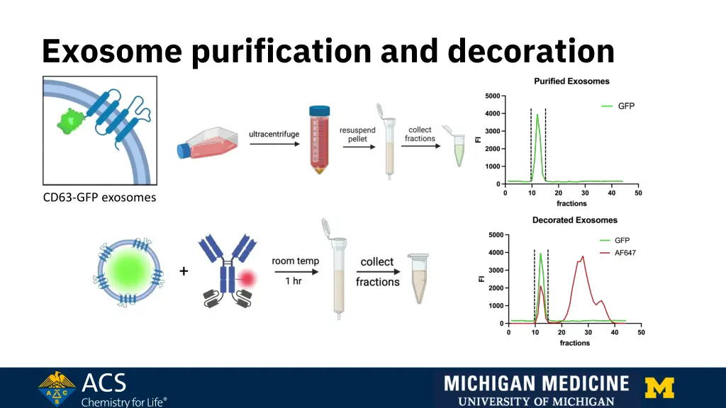 exosome purification and decoration