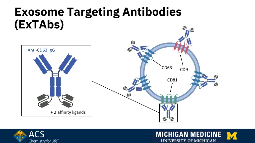 exosome targeting antibodies extabs