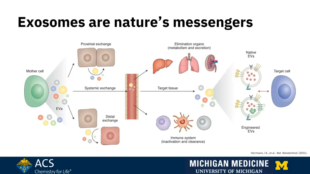 exosomes are nature s messengers