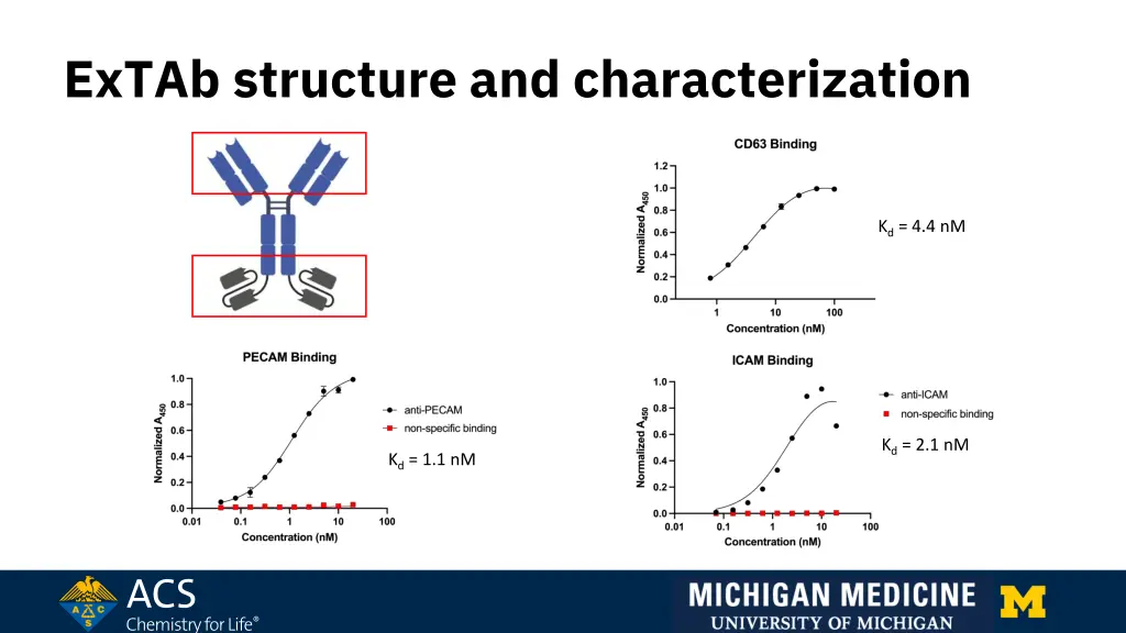 extab structure and characterization 1