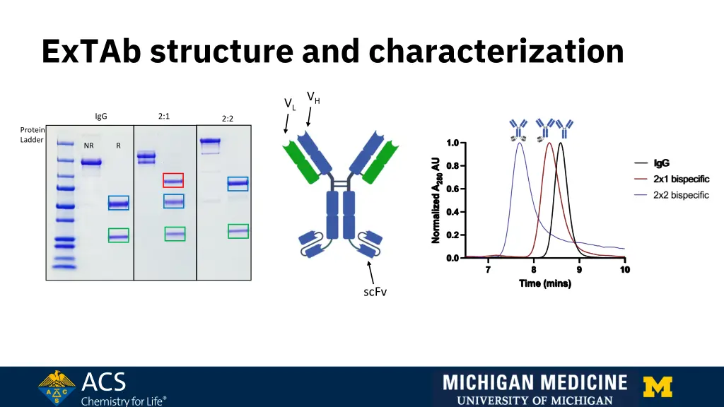 extab structure and characterization