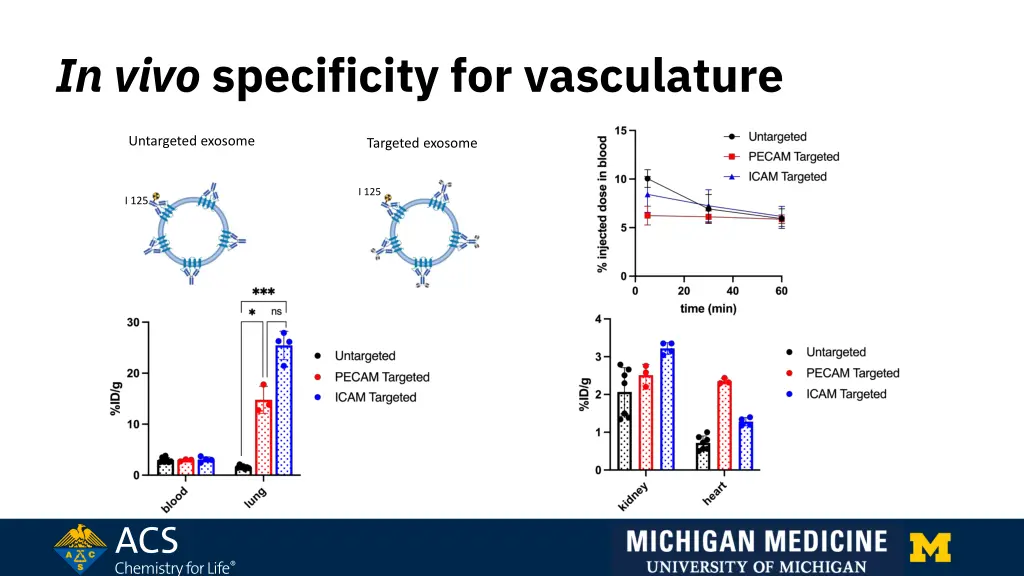 in vivo specificity for vasculature