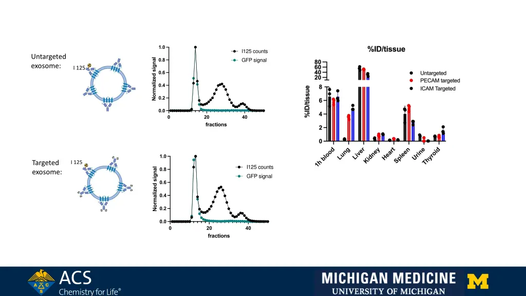 normalize of h5c6 exosome fractions