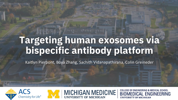 targeting human exosomes via bispecific antibody