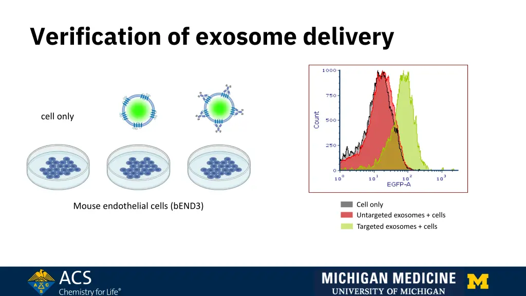 verification of exosome delivery 1