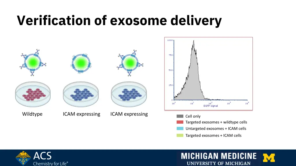 verification of exosome delivery