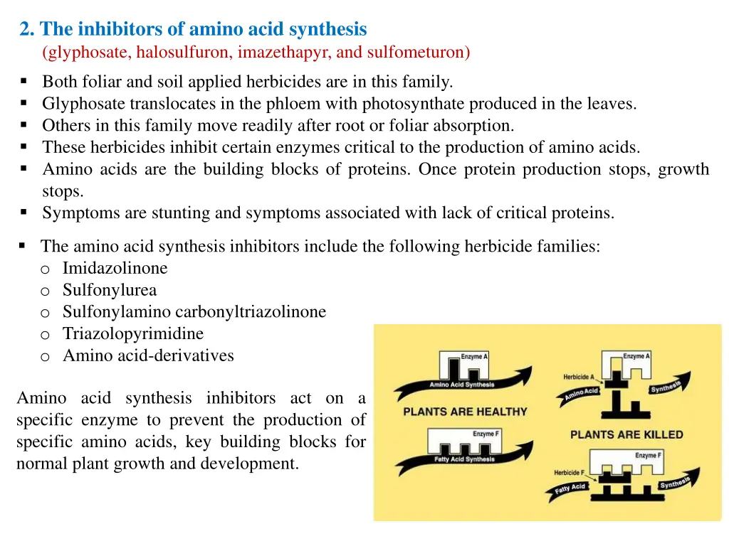 2 the inhibitors of amino acid synthesis