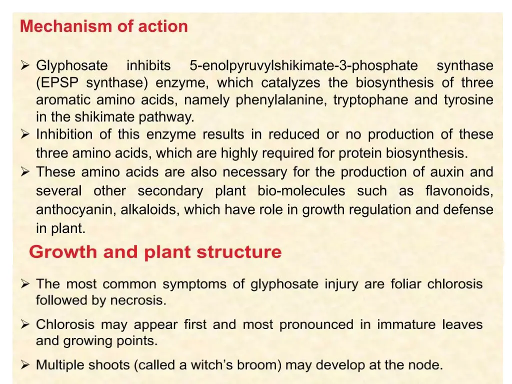 slide18