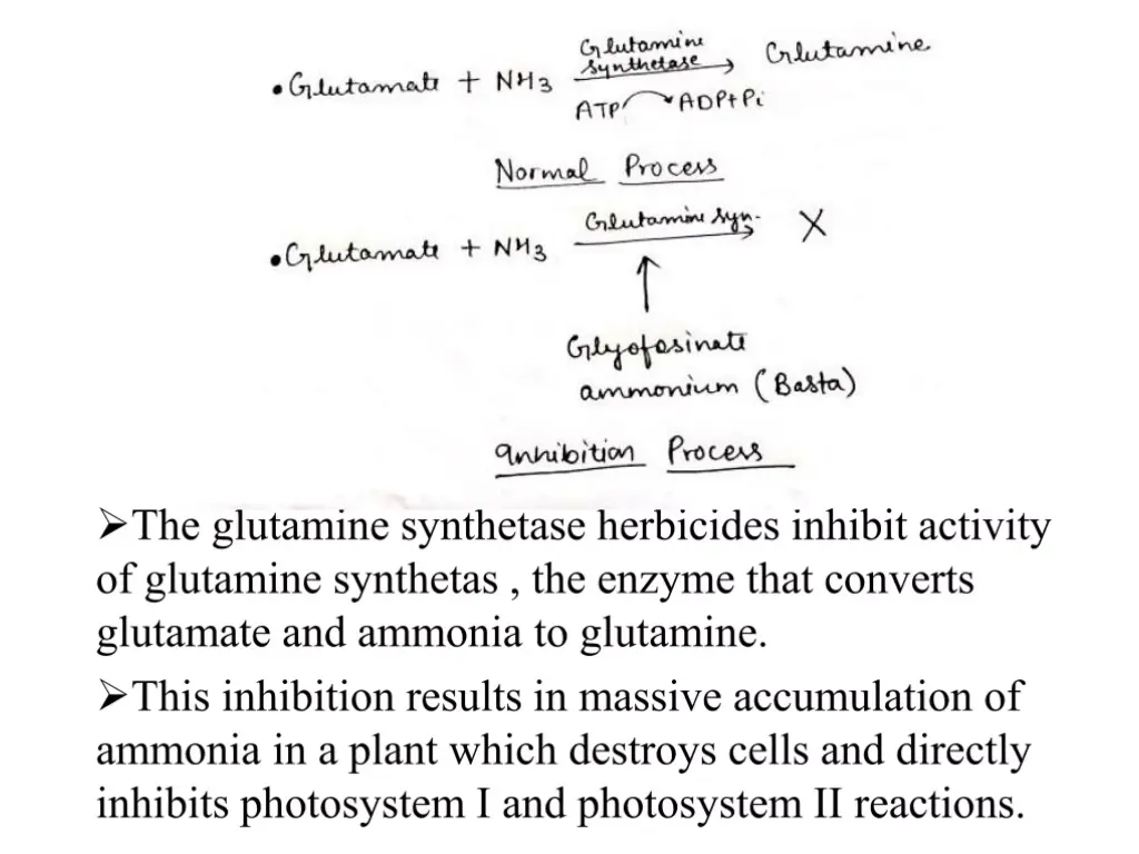 slide29