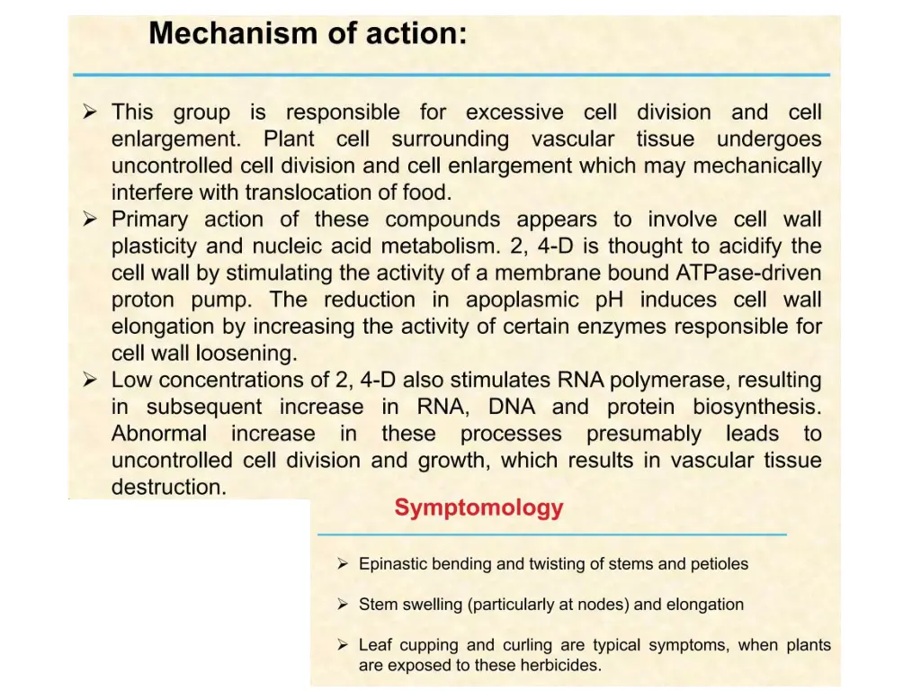 slide8