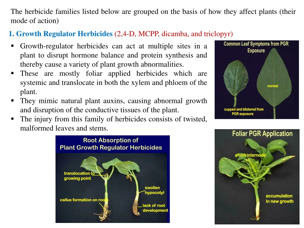 the herbicide families listed below are grouped