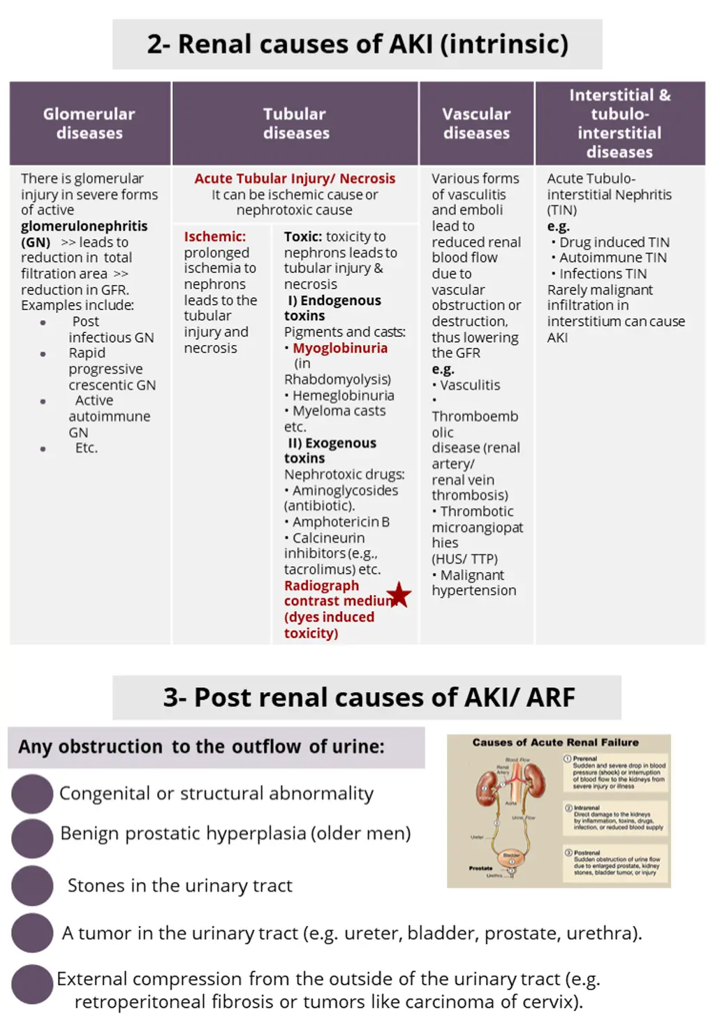 2 renal causes of aki intrinsic