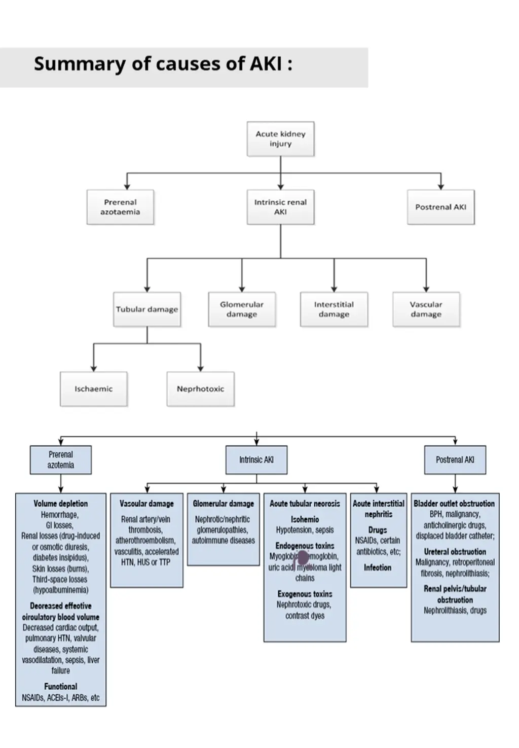 summary of causes of aki