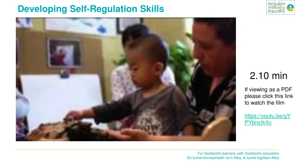 developing self regulation skills