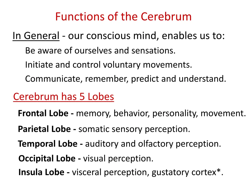 functions of the cerebrum