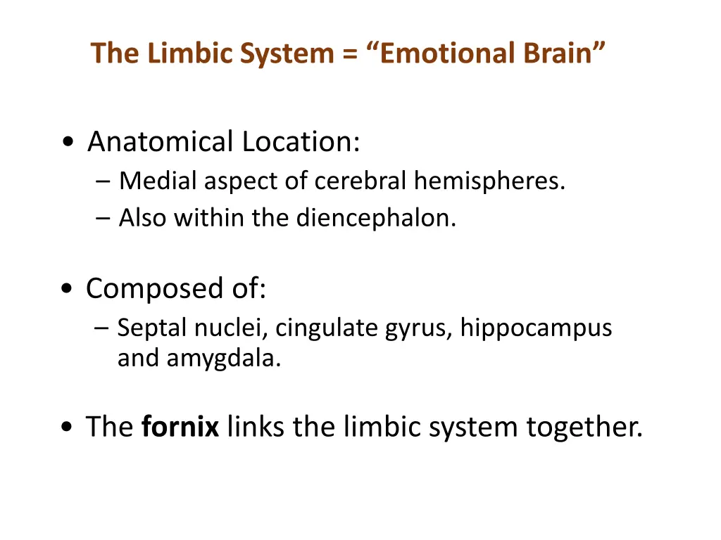 the limbic system emotional brain