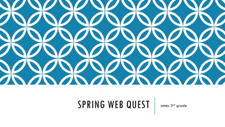 spring web quest