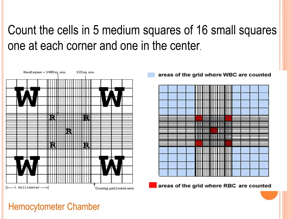 count the cells in 5 medium squares of 16 small