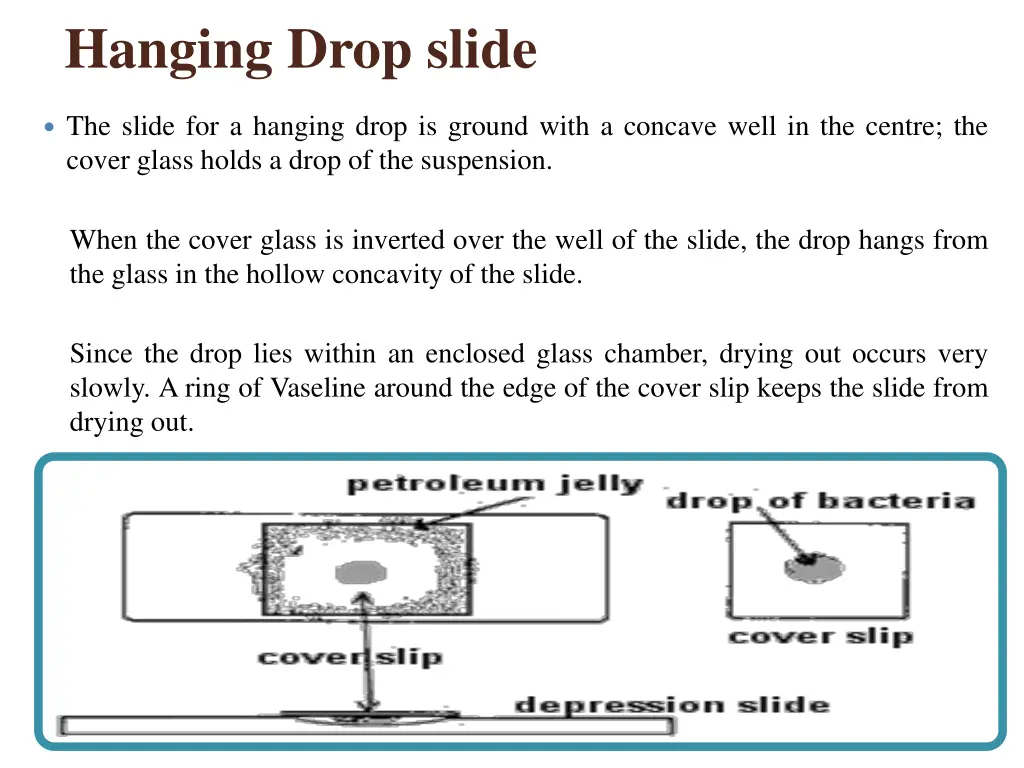 hanging drop slide